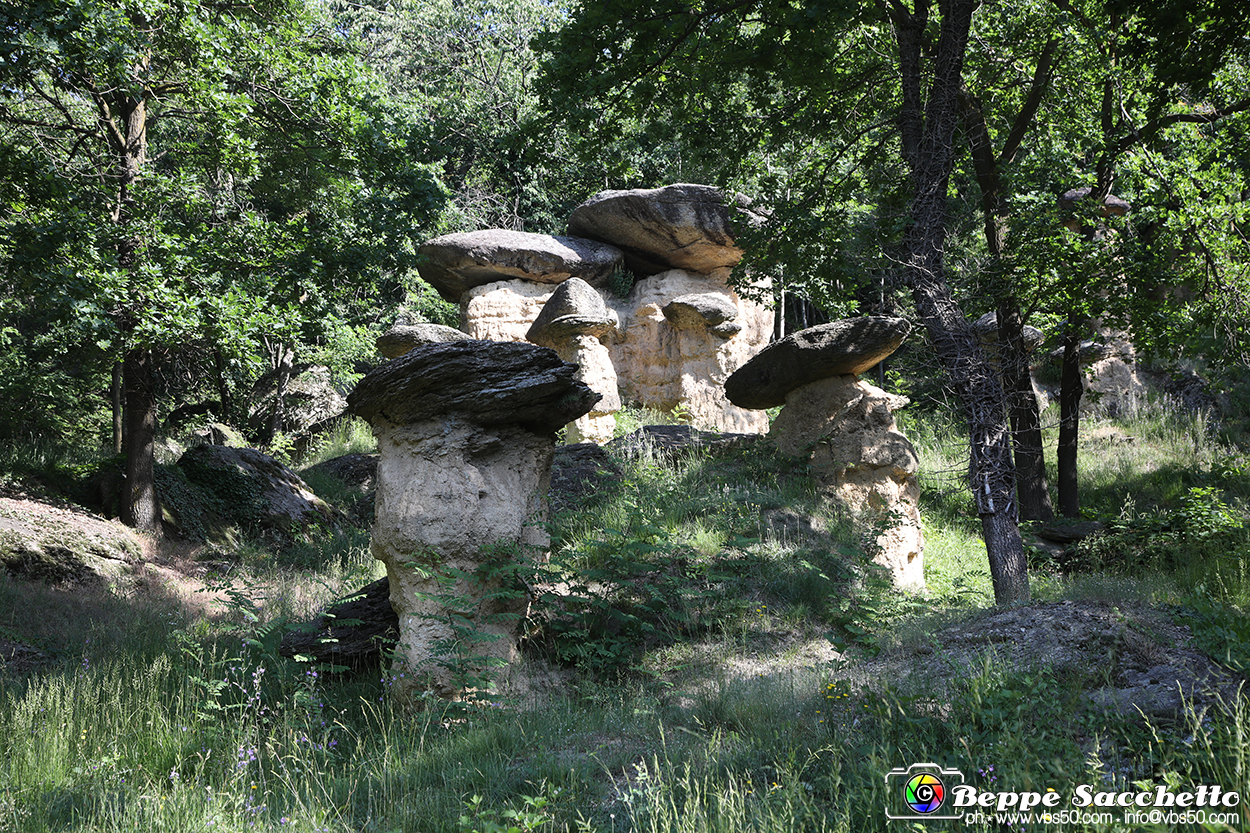 VBS_8877 - I Ciciu del Villar. Villar San Costanzo. Val Maira (Cuneo).jpg